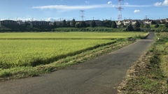 お米がない！