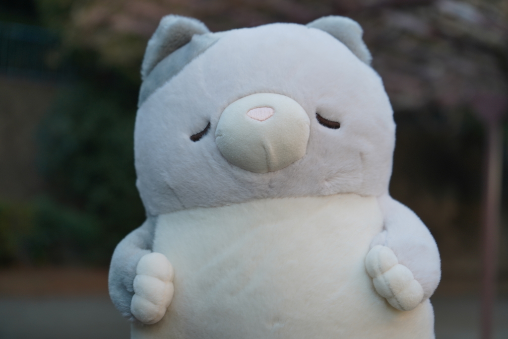 ごあいさつ＾＾