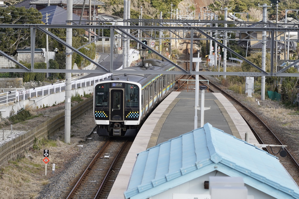 あの海に会いに