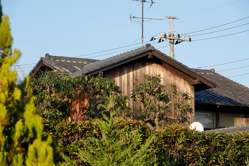 絵描きさんが住んでたお家