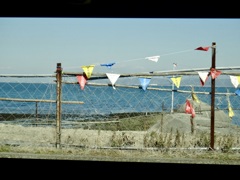 おもいでぽろぽろ　育った海