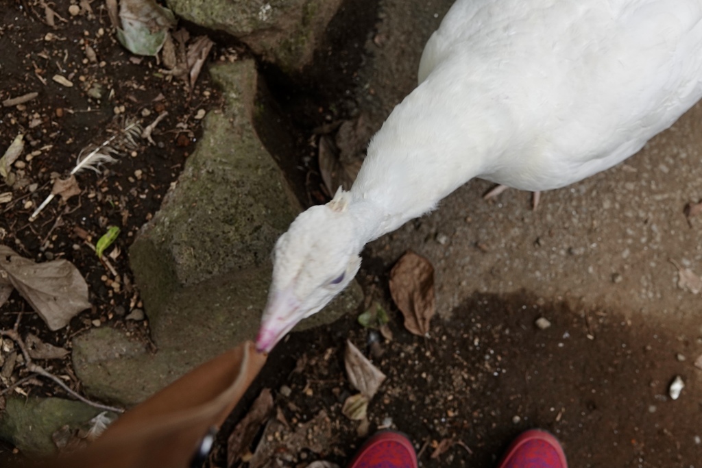 仲良しになったんだけど、(๑˃̵ᴗ˂̵)
