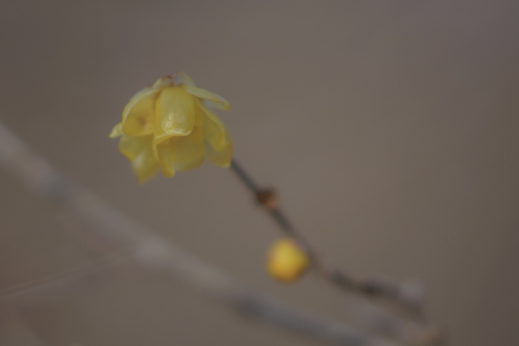 北鎌倉のかおり