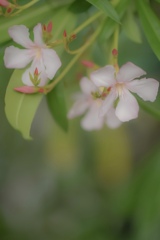 やさしい気持ち