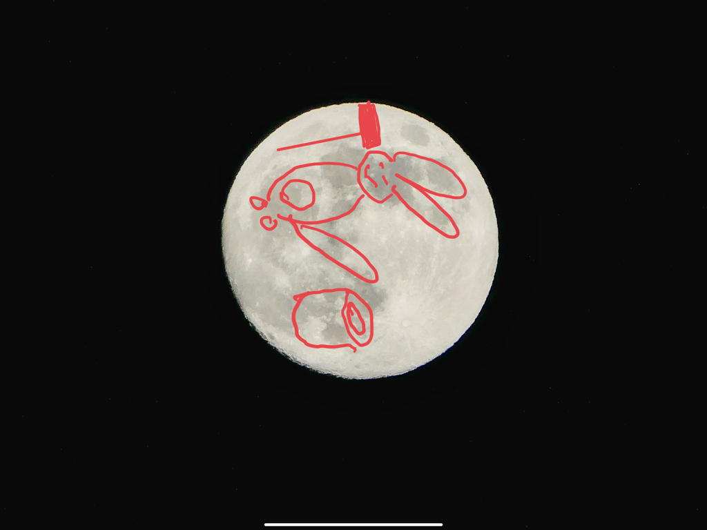 なんか違う気がする(๑˃̵ᴗ˂̵)