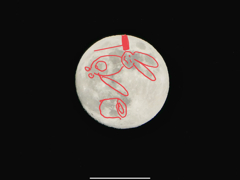 なんか違う気がする(๑˃̵ᴗ˂̵)