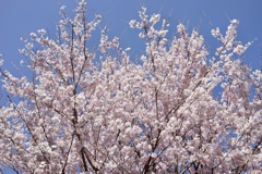 青空