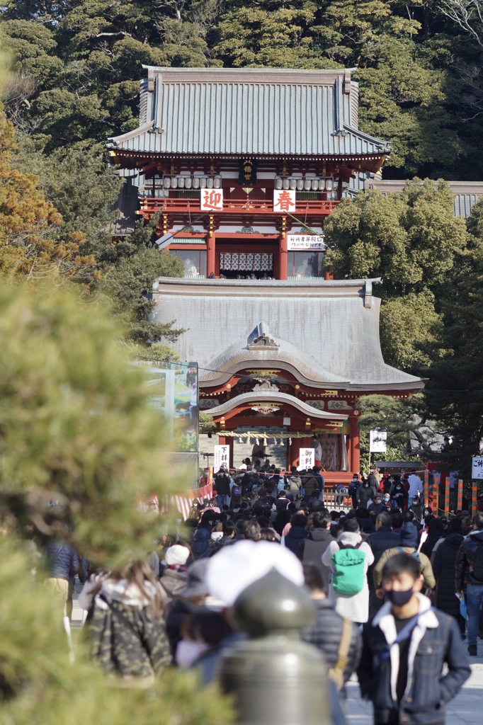 北鎌倉から鶴岡八幡宮へ