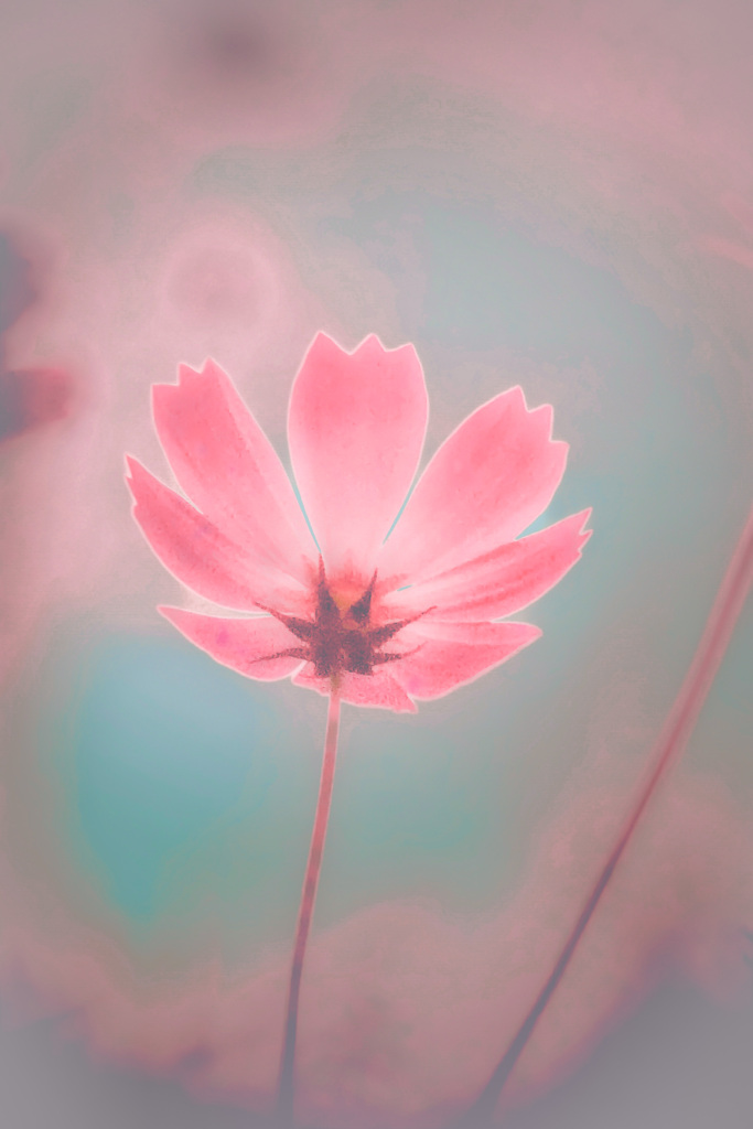 「未来に向かって」