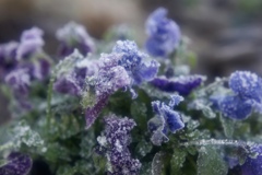 おはようございます∩^ω^∩