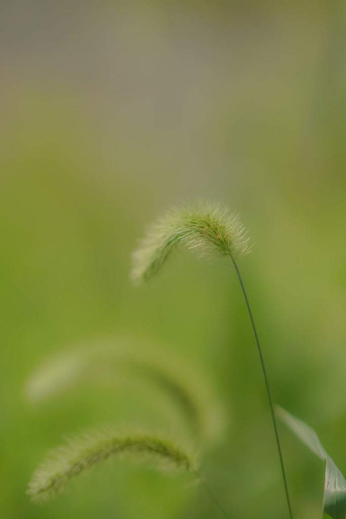 for you・・