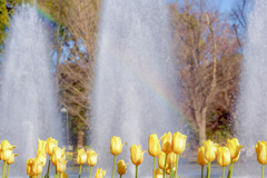 小さな虹 小さな虹