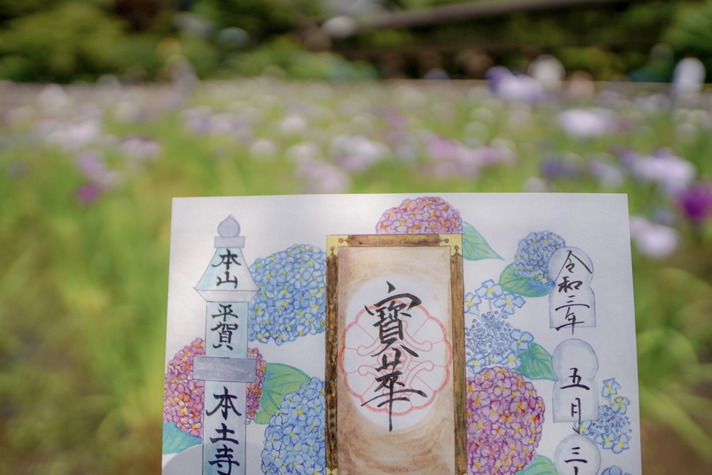 あじさいの御朱印