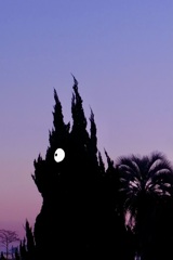 マジックアワーに中トトロ現れる