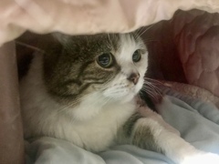 待ってました(=^x^=)