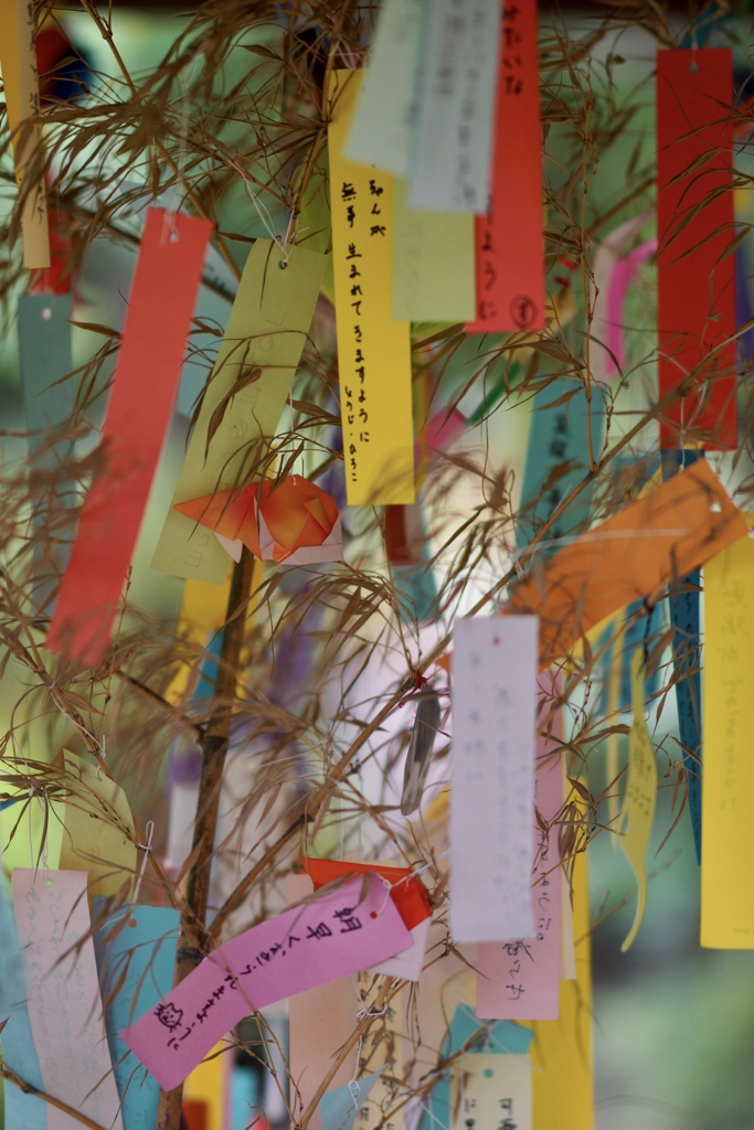 星にねがいを☆彡