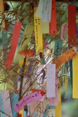 星にねがいを☆彡