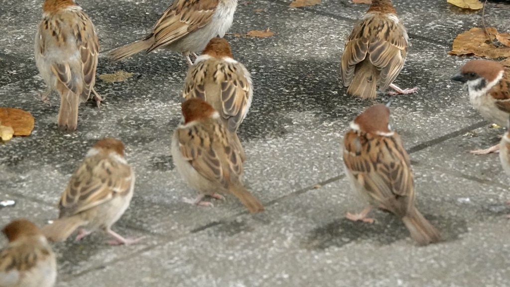 シャッターチャンス(^^)
