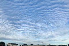 空を泳ぐ魚