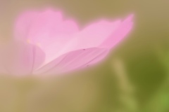 秋のはじまり