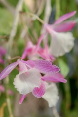 どう？( ◠‿◠ )