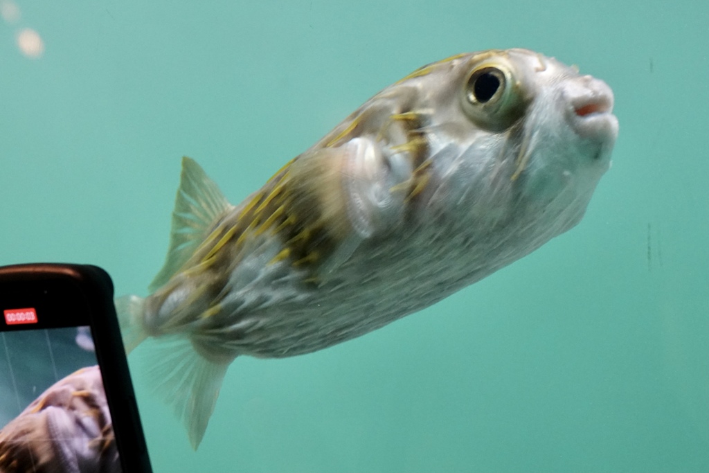 写真撮っていいよ〜