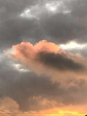 夕暮れ色の雲の花