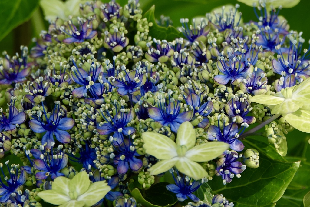 超きれい、すてき٩(^‿^)۶