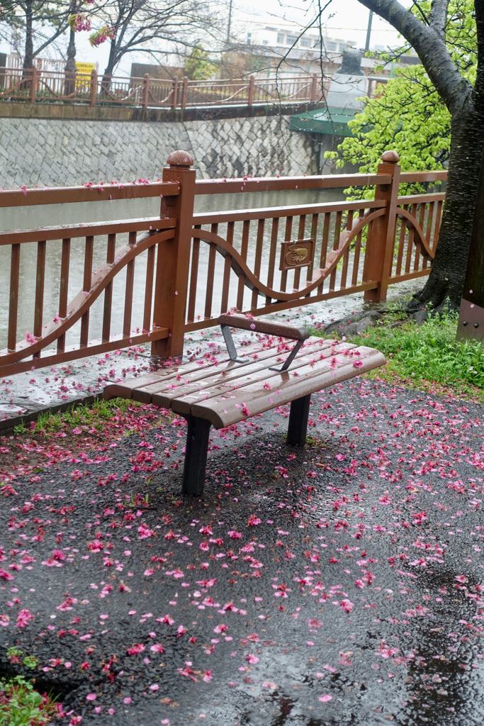 ３月１８日　雨