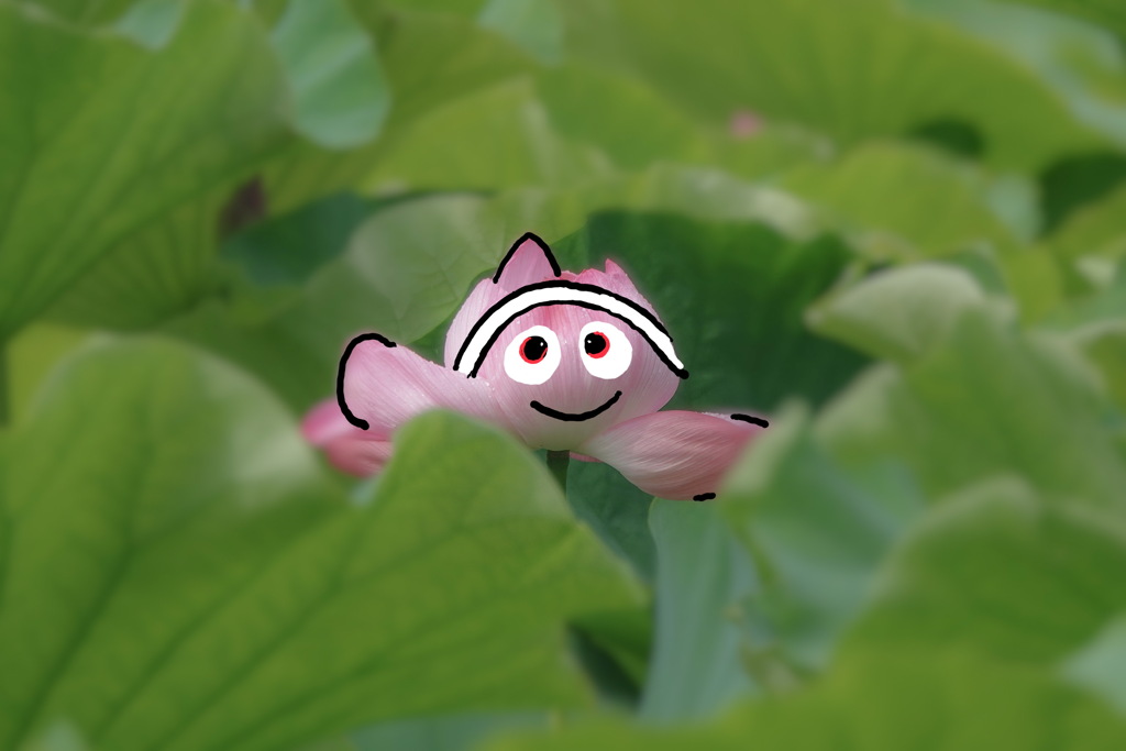 ニモに見えたから、ニモにしました=(^.^)=