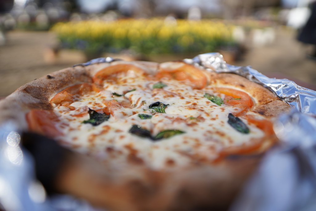 ピザとチューリップ♡