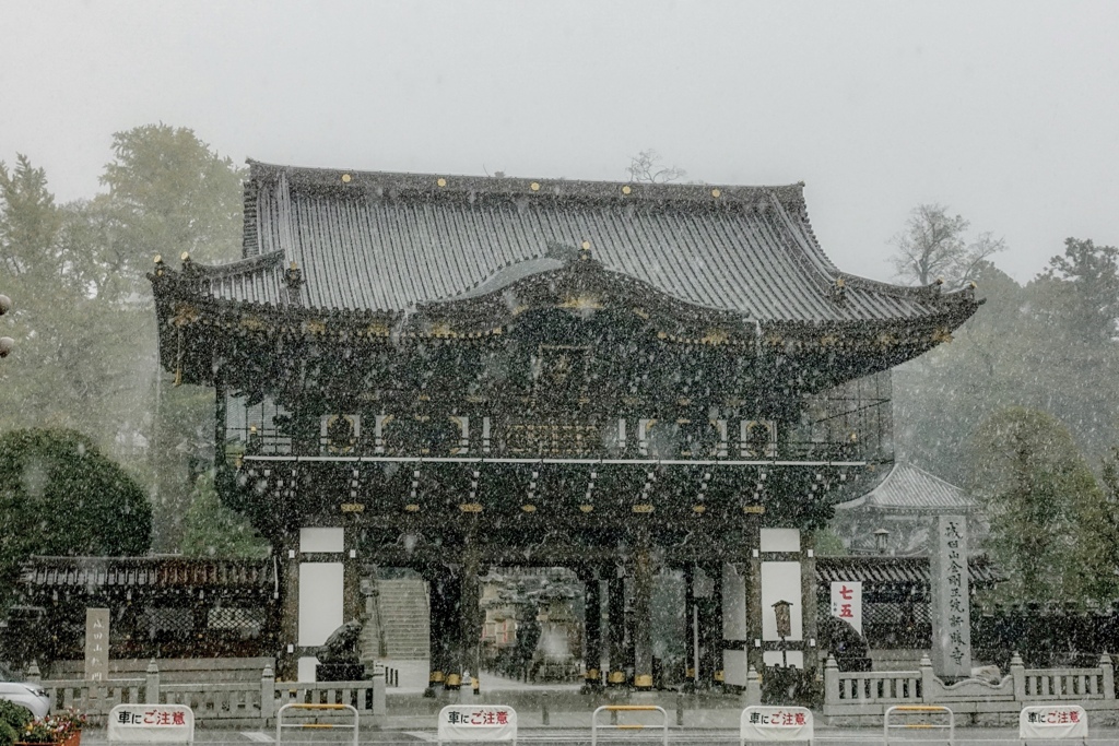 どしゃぶりのお寺