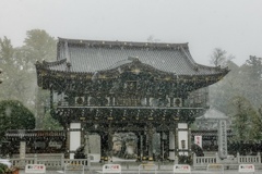 どしゃぶりのお寺