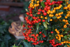 クリスマスツリーみたい=(^.^)=