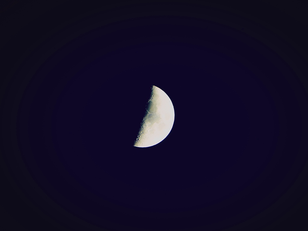 夜のあかり（月）
