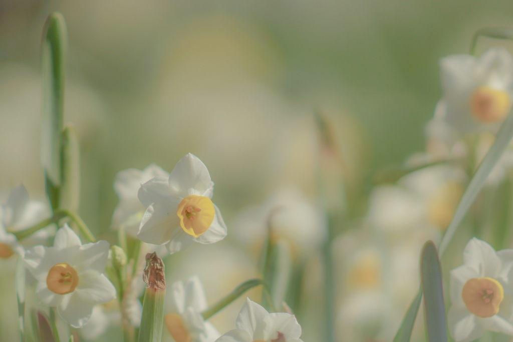 いい気持ち=(^.^)=