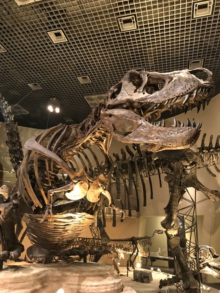 科学博物館
