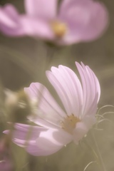 やさしい気持ち