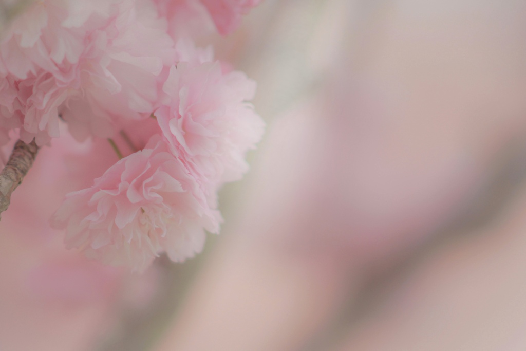 またね♡