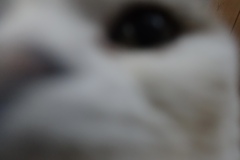 あーもう!(๑˃̵ᴗ˂̵)