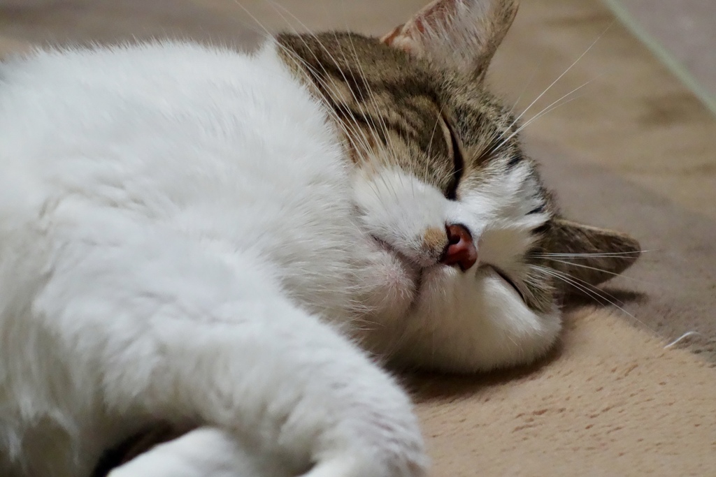 催眠術　3