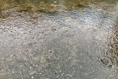 雨音……