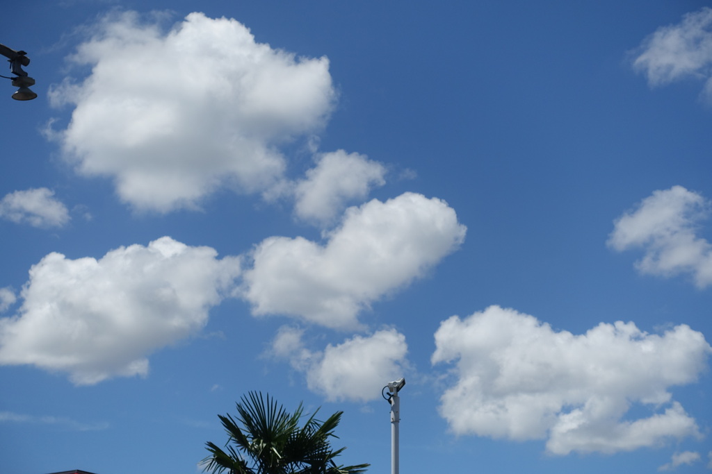 そらハート(^｡^)