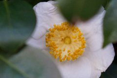 のそき見(*☻-☻*)