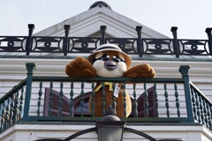 バードウオッチング？