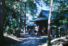 散歩日和の神社にて