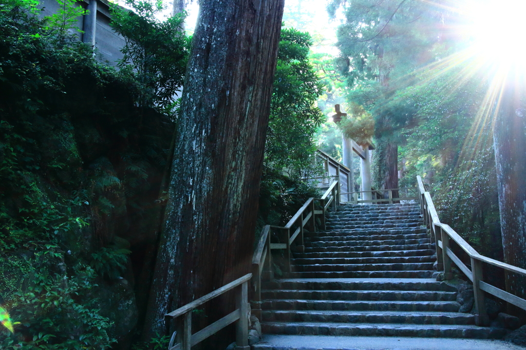 朝の伊勢神宮