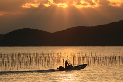 海苔筏の夜明け2
