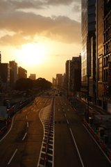 朝日に照らされて