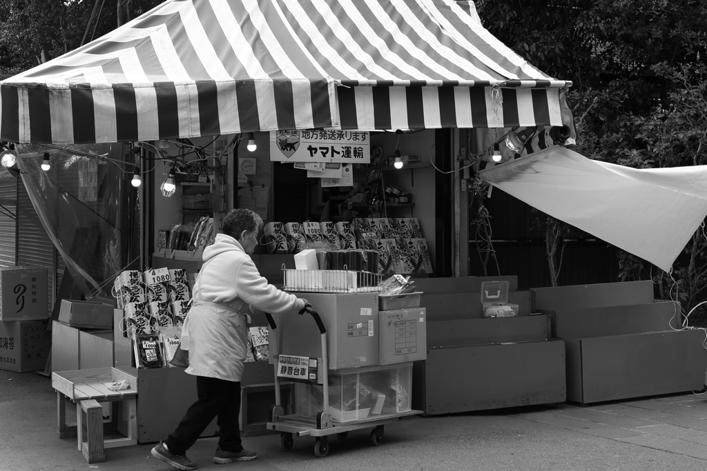 散歩の途中で12